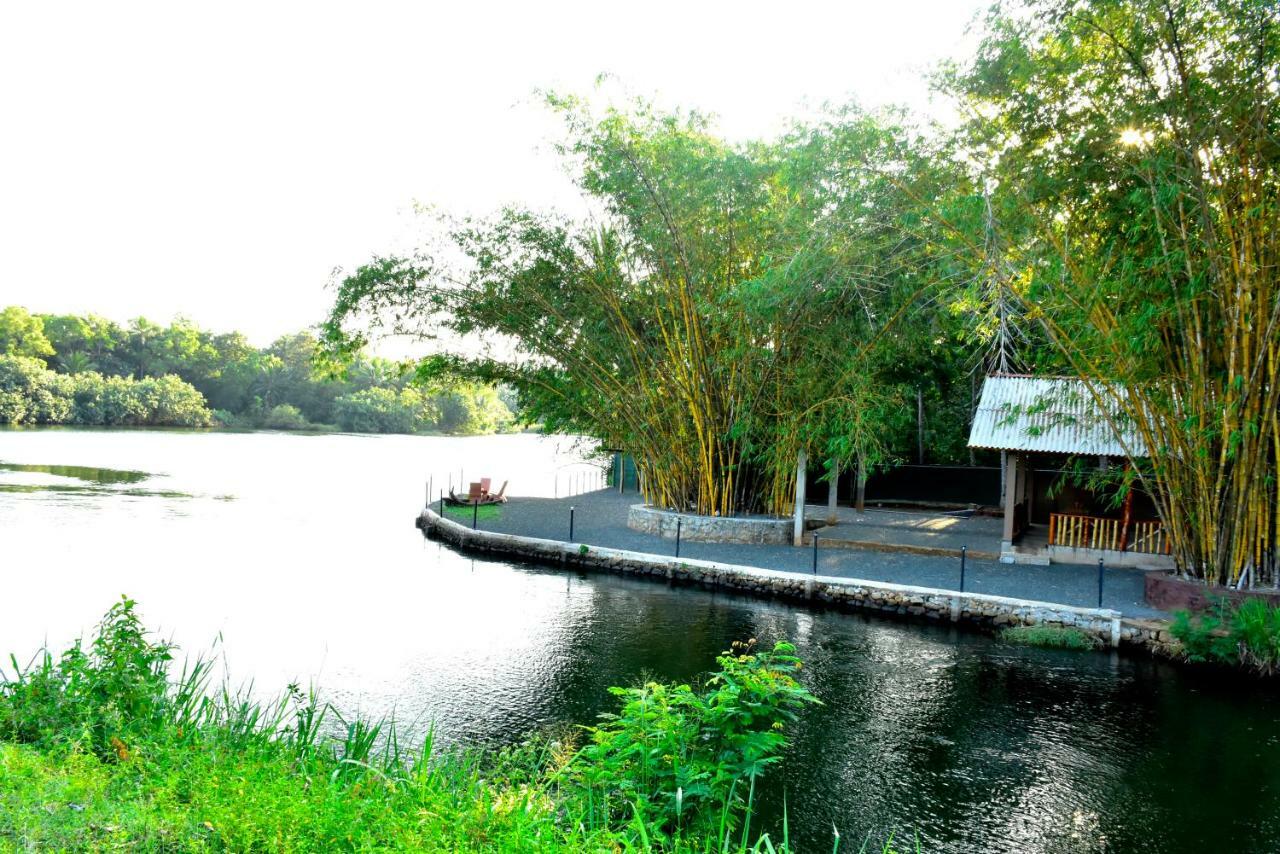 Pelican Lake Udawalawe Ngoại thất bức ảnh